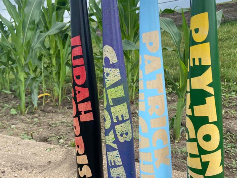 Razorbill bats featuring bold, large-font name designs across the barrels, showcasing custom personalization and standout visual appeal.